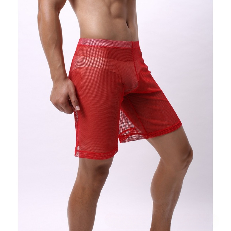 Low Rise Mesh Erotic Underwear - огляд і ціна Pouch Boxer Pouch